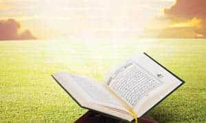 How Were the Quran's Verses and Chapters Arranged?
