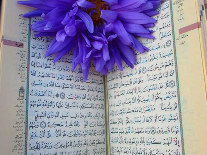 Discover the Profound Wisdom of the Quran