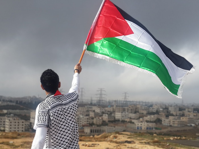 Man Waving Flag of Palestine on top of a hill.