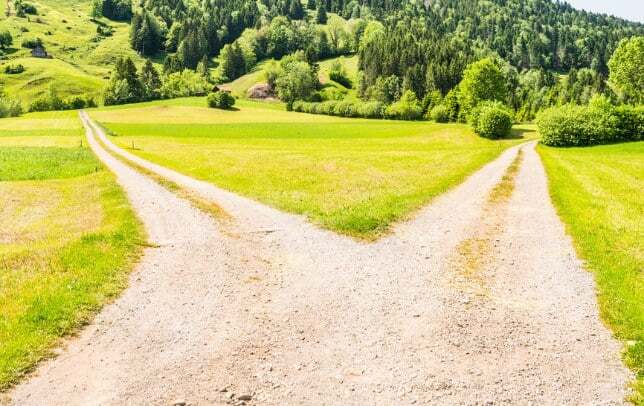 Divine Laws: The Key to Harmony in Society