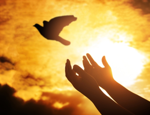 Jesus: A Servant of God