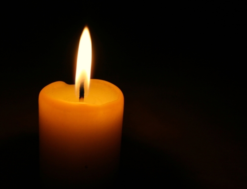 Tariq Amanullah: un tributo